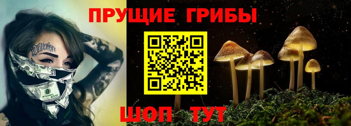 Галлюциногенные грибы Psilocybe Ахтубинск