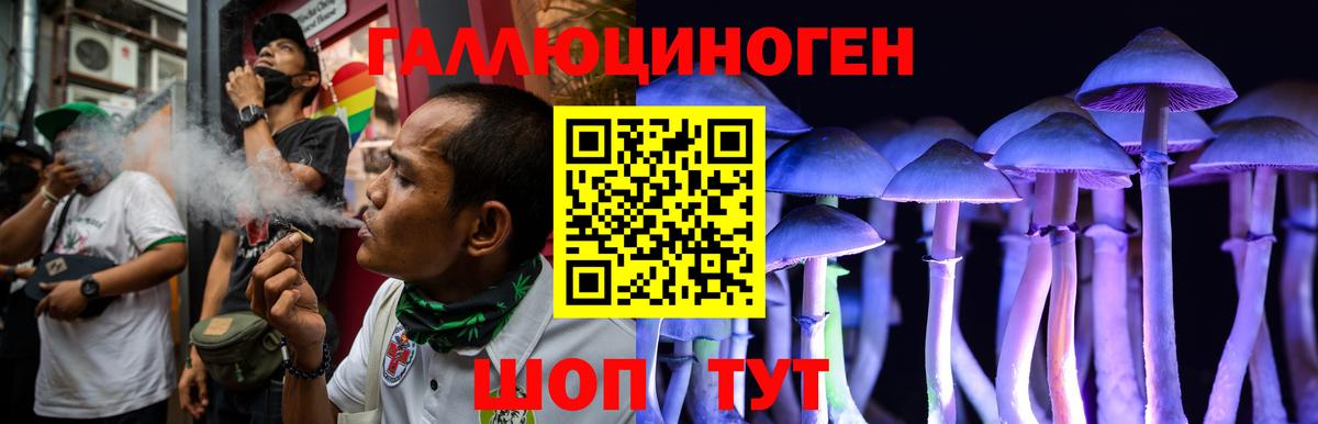 Псилоцибиновые грибы MAGIC MUSHROOMS  Вход с VPN  Ахтубинск  Псилоцибиновые грибы MAGIC MUSHROOMS 
